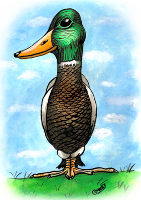 john-anthony cooney john cooney illustration